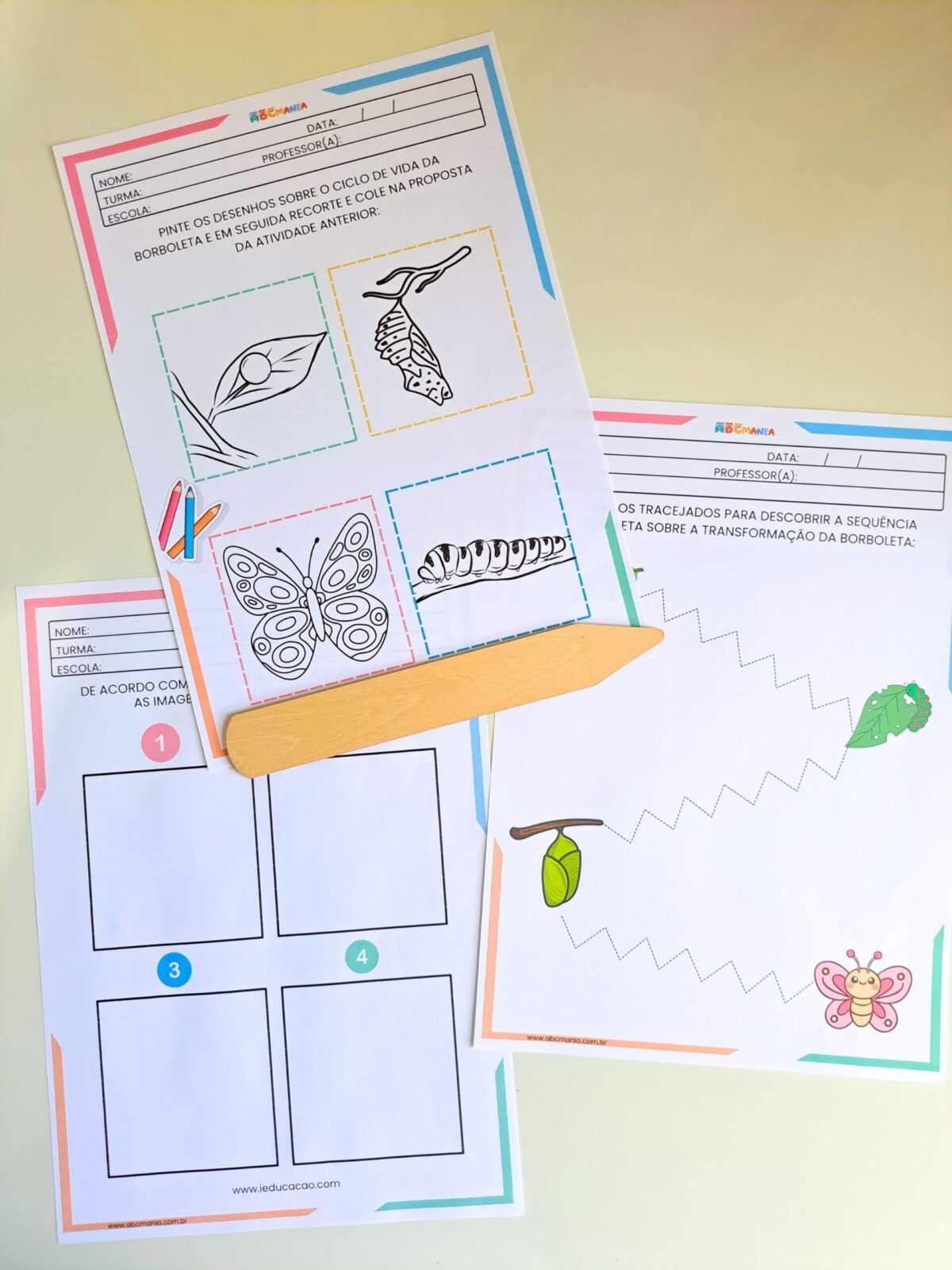 Atividades Sobre o Ciclo da Borboleta para Educação Infantil Atividades Ciclo da Borboleta para Educação Infantil