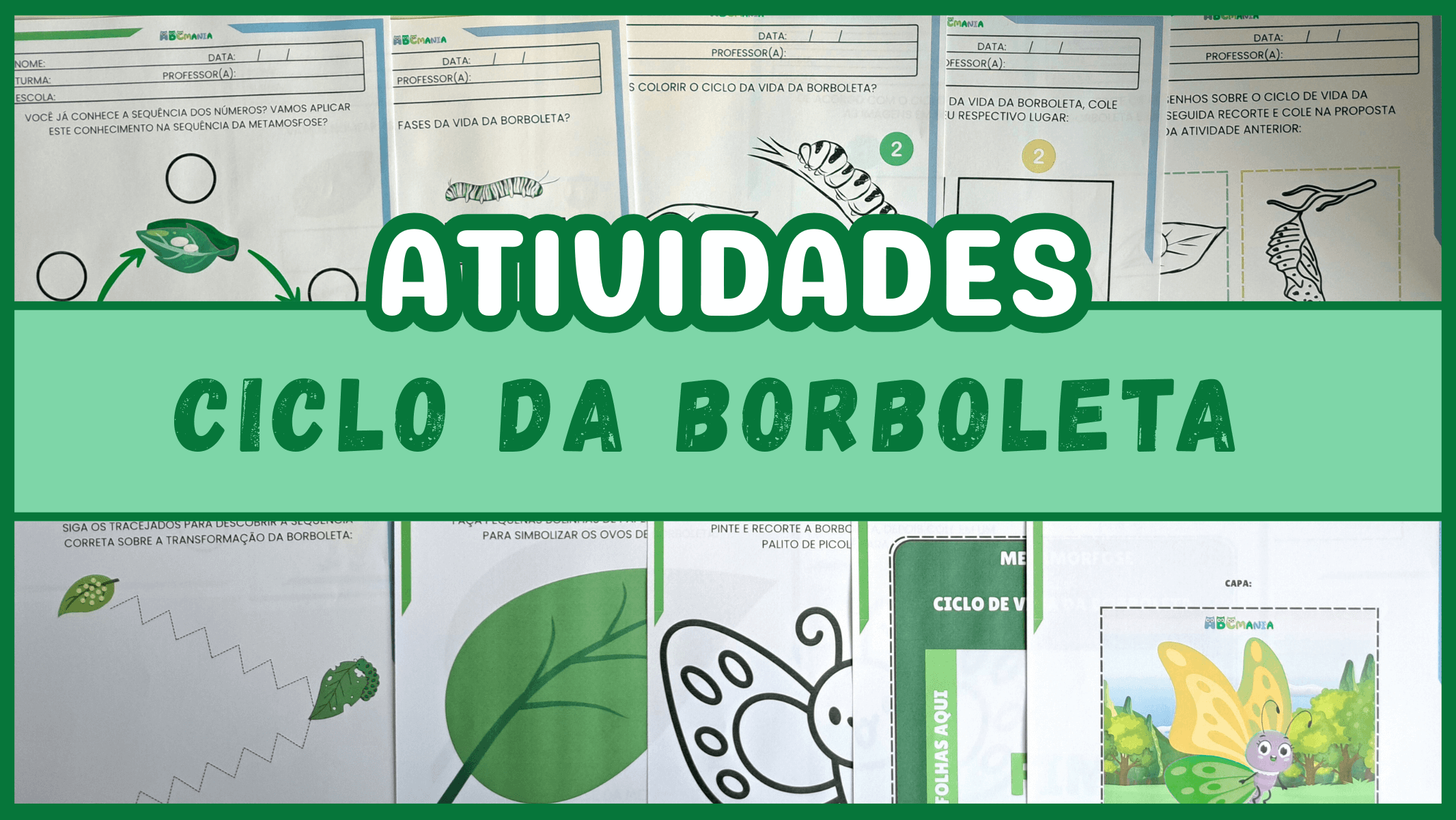 Atividades Sobre o Ciclo da Borboleta para Educação Infantil