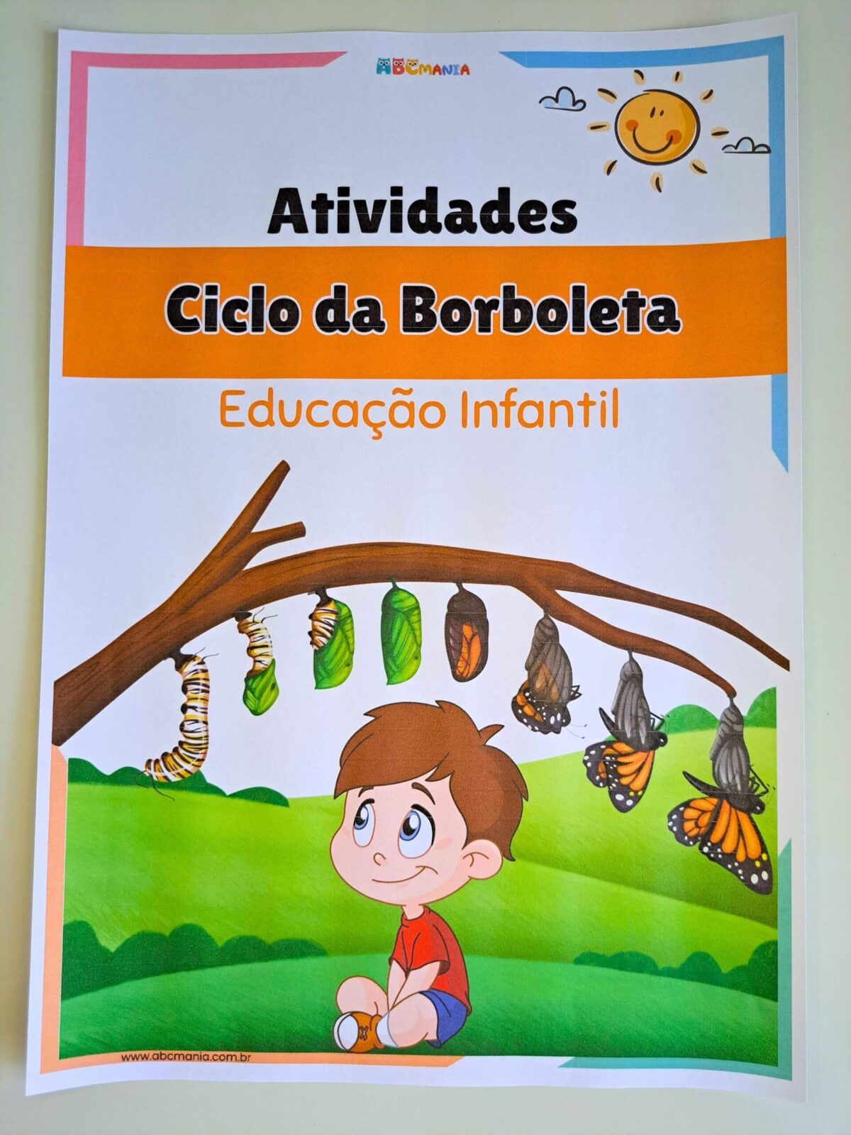 Atividades Sobre o Ciclo da Borboleta para Educação Infantil Ciclo da Borboleta para Educação Infantil