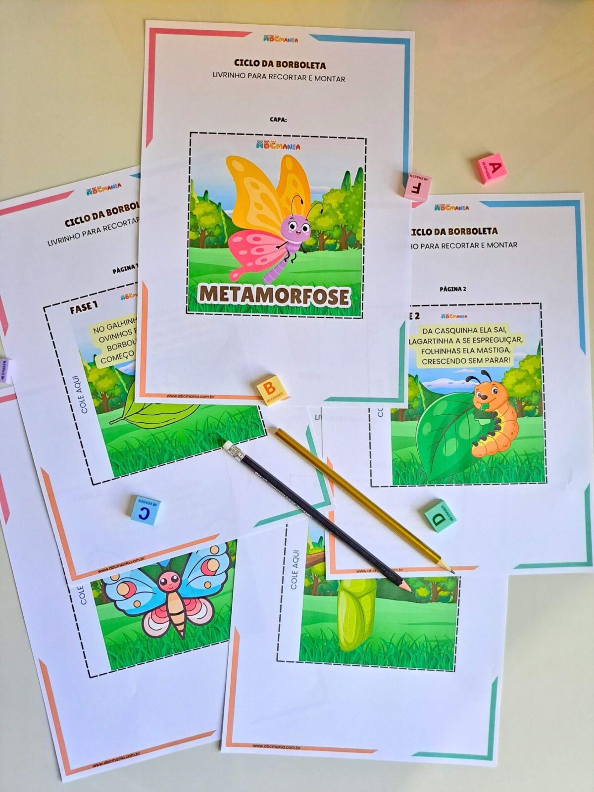 Atividades Sobre o Ciclo da Borboleta para Educação Infantil Ciclo da Borboleta para Educação Infantil - Livrinho Ciclo da Borboleta - transformação da borboleta
