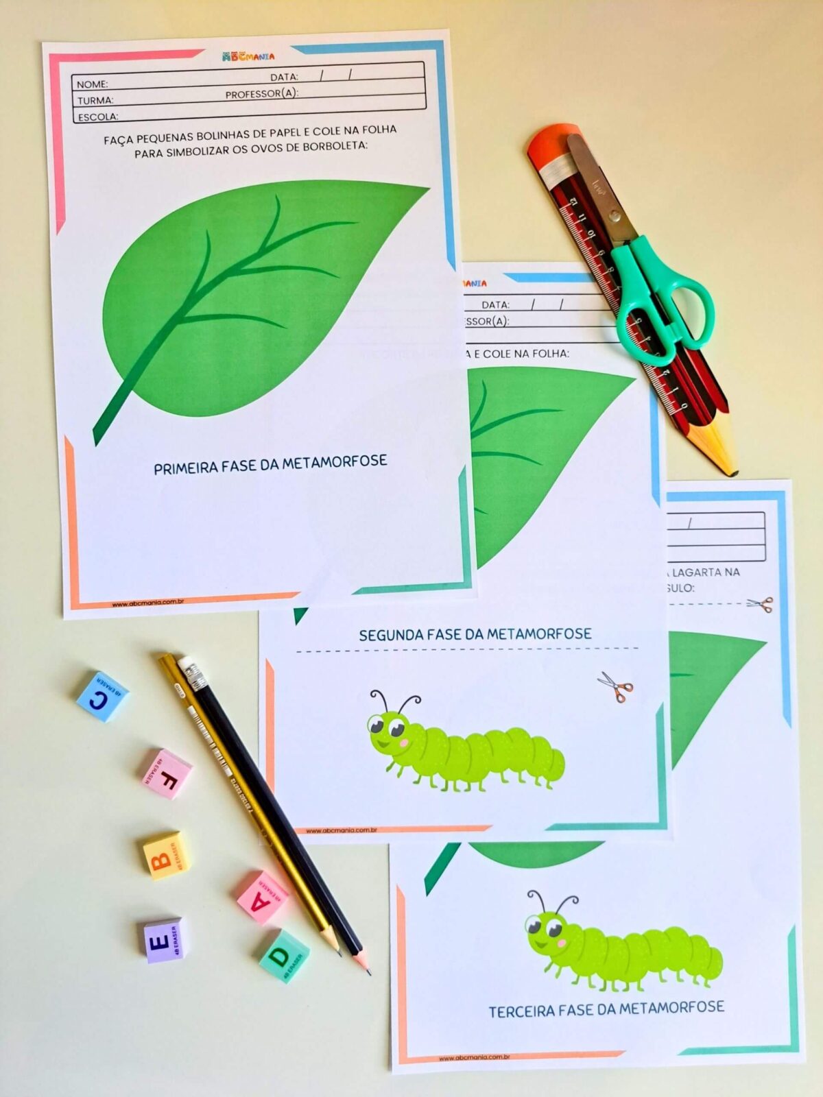 Atividades Sobre o Ciclo da Borboleta para Educação Infantil Ciclo da Borboleta para Educação Infantil - metamorfose da borboleta