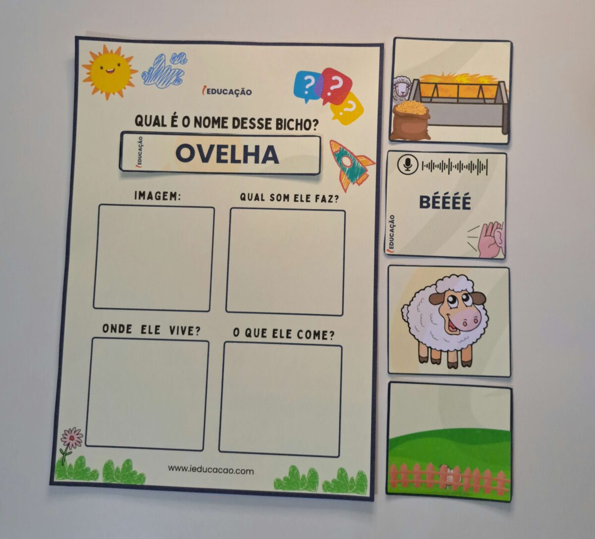 Você Conhece os Animais? Jogo Pedagógico para Educação Infantil Jogo Pedagógico Você Conhece os Animais - Jogo Educativo de Animais
