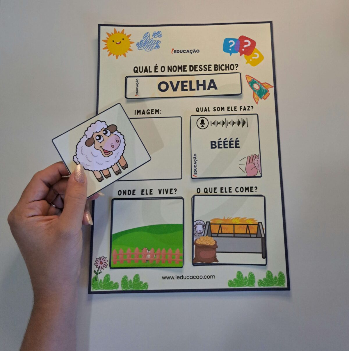 Você Conhece os Animais? Jogo Pedagógico para Educação Infantil Jogo Pedagógico Você Conhece os Animais - Mundo Animal