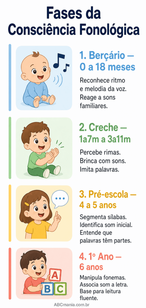 Infográfico sobre consciência fonológica educação infantil: quatro fases de desenvolvimento (Berçário, Creche, Pré-escola e 1º Ano) com exemplos de habilidades esperadas